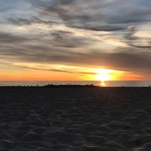 Meet your Posher, Liz